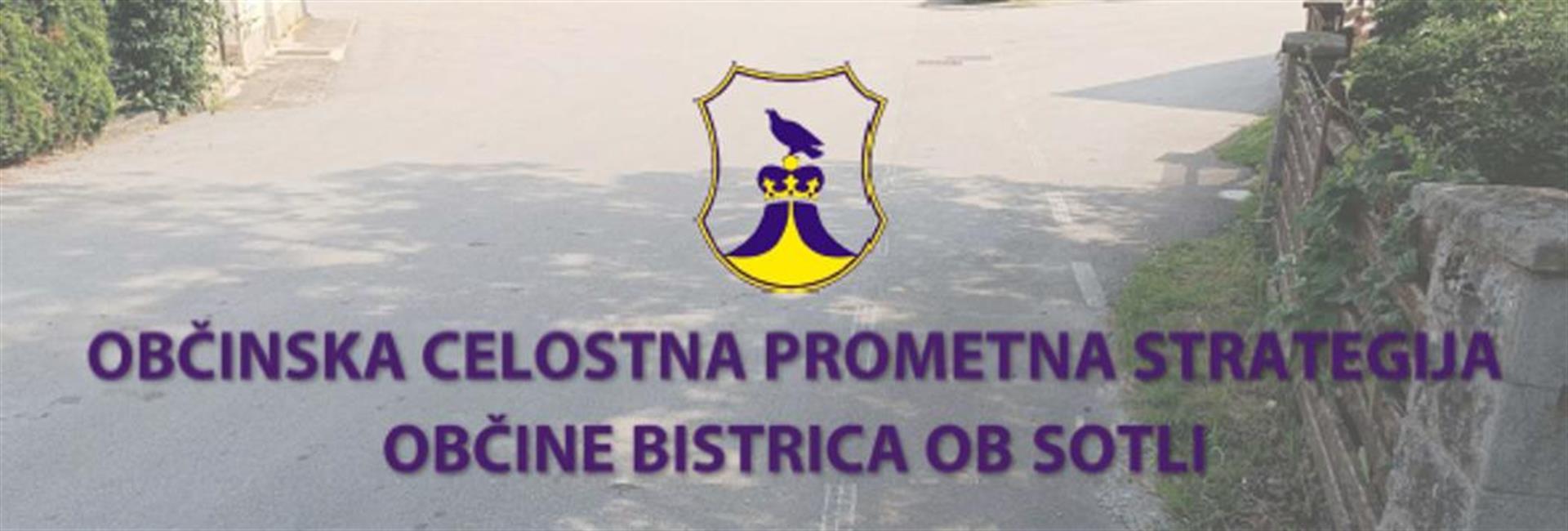 Izdelava občinske celostne prometne strategije