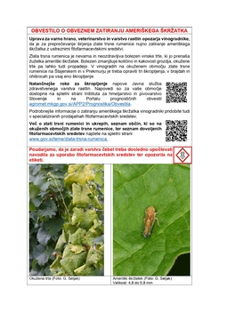 Oglas zlata trsna rumenica-jun25-Savinjsko-Posavsko-okuzeno_page-0001